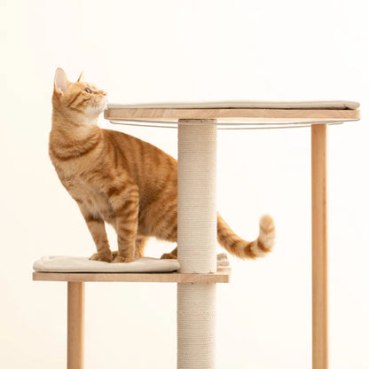 Daiym 63'' H Cat Tree