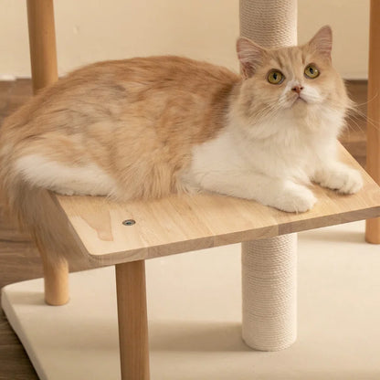 Daiym 63'' H Cat Tree