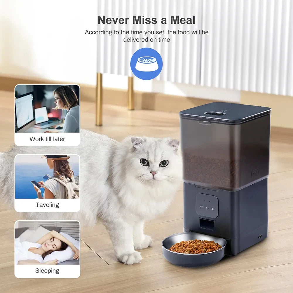 6L Automatic Pet Feeder Smart Food Dispenser for Cats Dogs Timer Stainless Steel Bowl Auto Dog Cat Pet Feeding Pet Supplies